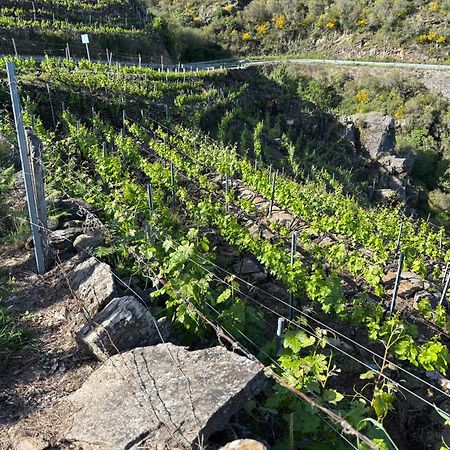 Willa Casa Da Baltasara Trives Zewnętrze zdjęcie